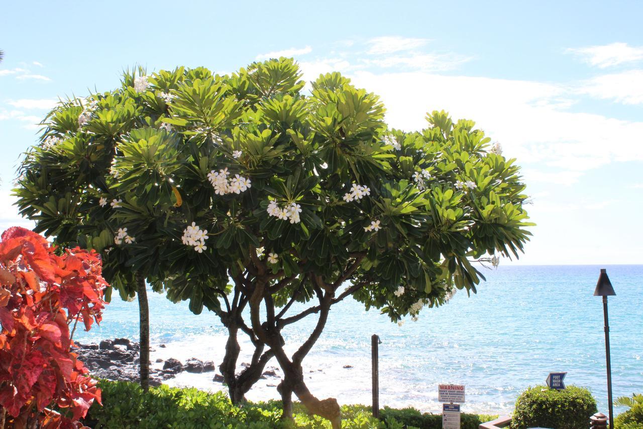 Kuleana Resort 618 Lahaina Buitenkant foto
